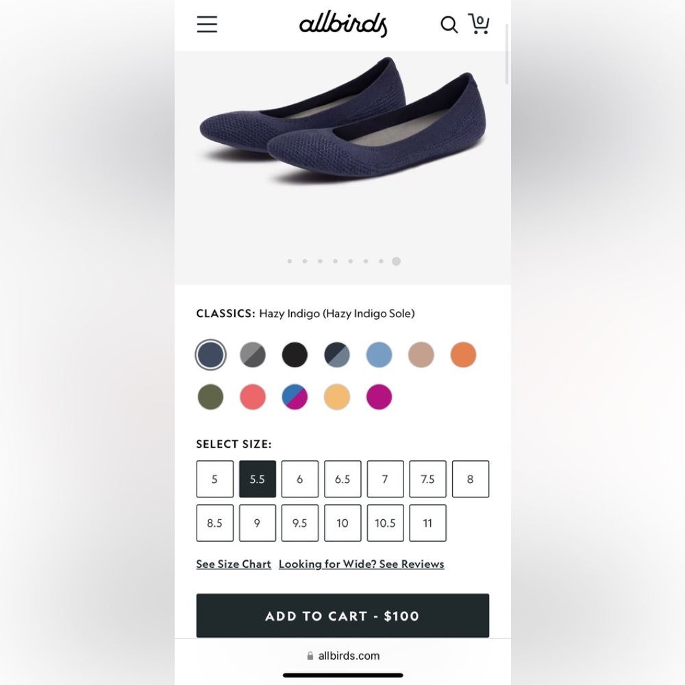 Allbirds Women's Tree Breezers